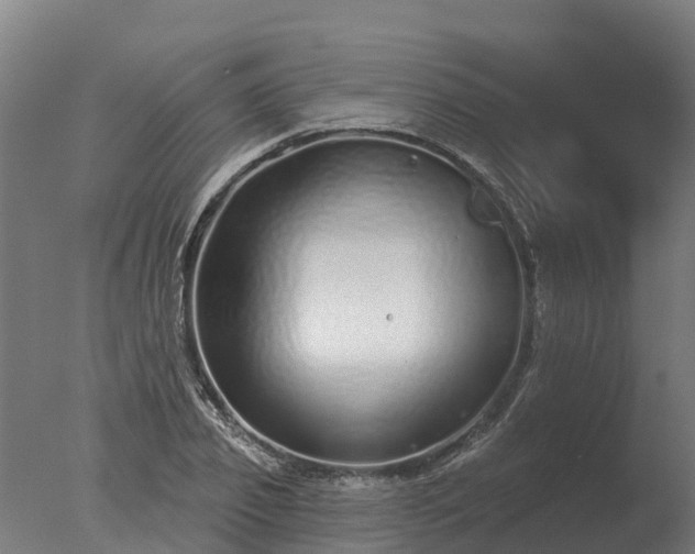 X0000077310933200610271640