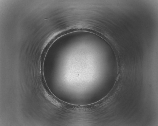 X0000077310934200610271640