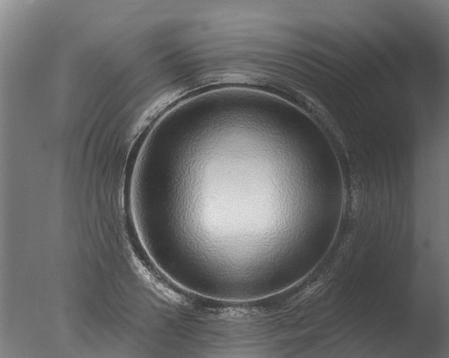 X0000077310938200610271640