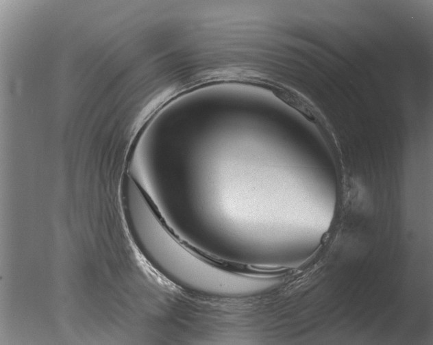 X0000077310946200610271640