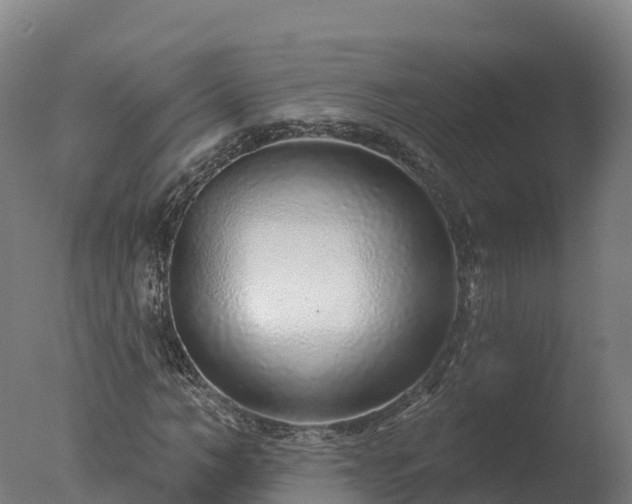 X0000077310966200610271639
