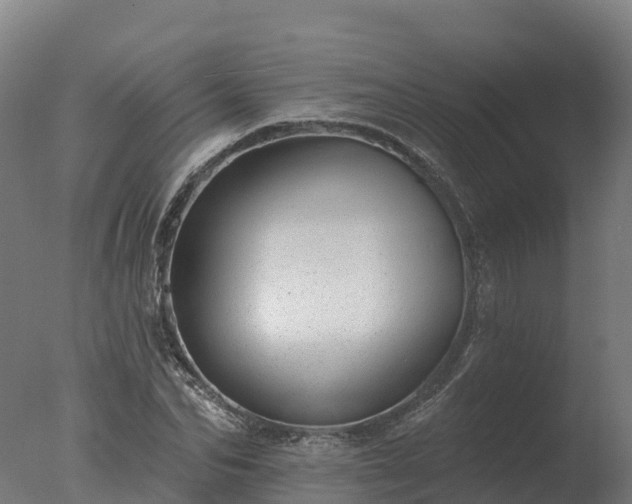 X0000077310974200610271639