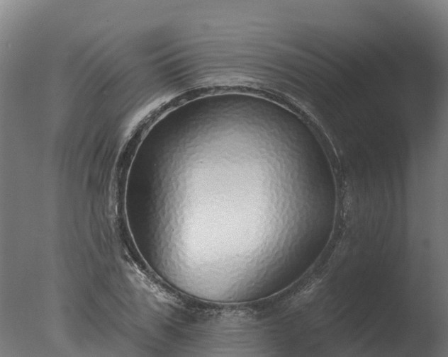 X0000077310979200610271639