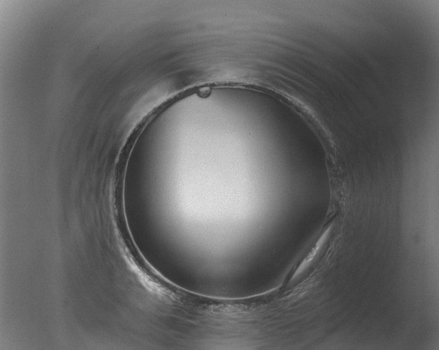 X0000077310991200610271639