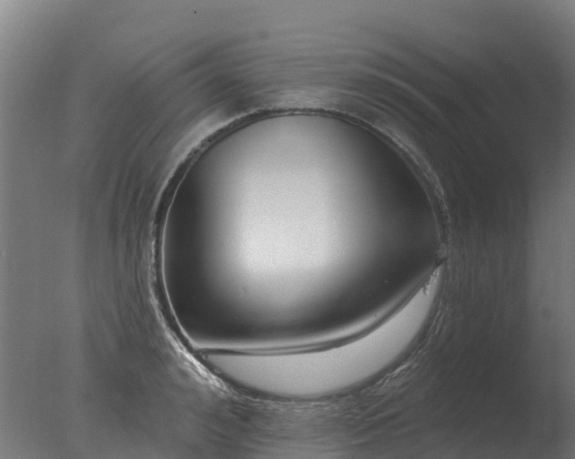 X0000077310992200610271639