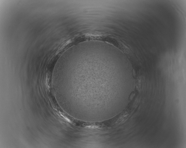 X0000077311010200610271638