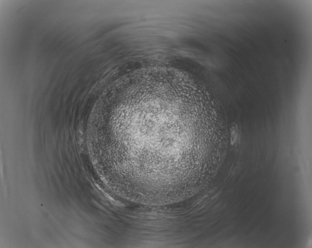 X0000077311011200610271638