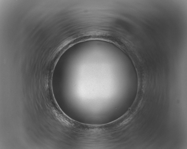 X0000077311017200610271638