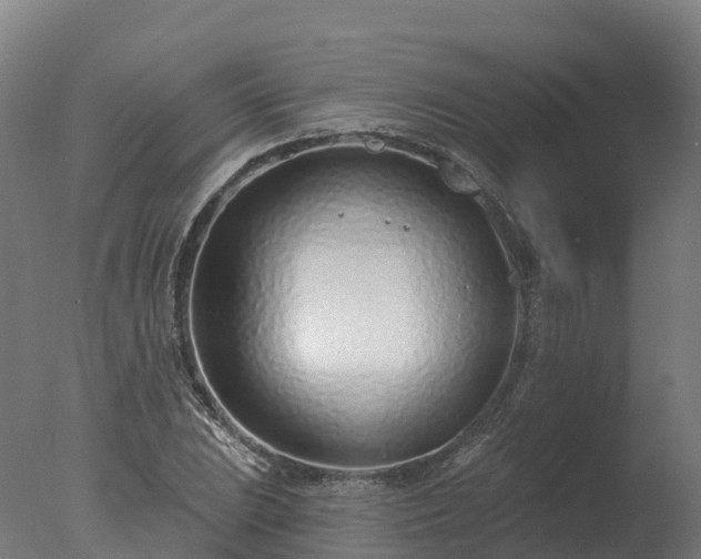 X0000077311023200610271638