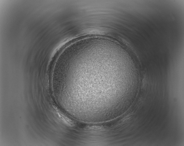 X0000077311027200610271638
