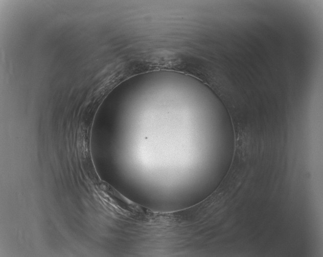 X0000077311058200610271638