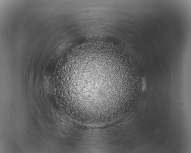 X0000077311059200610271638