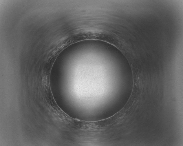 X0000077311061200610271638