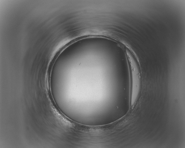 X0000077311080200610271637