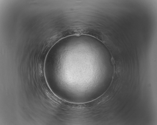 X0000077311106200610271636