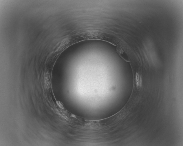 X0000077311107200610271636