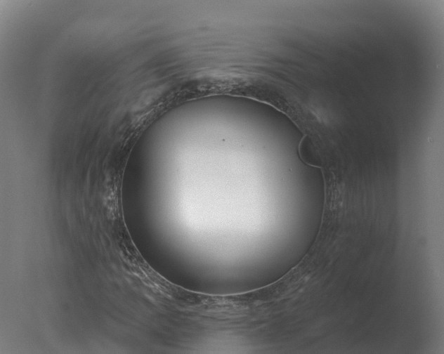 X0000077311109200610271636