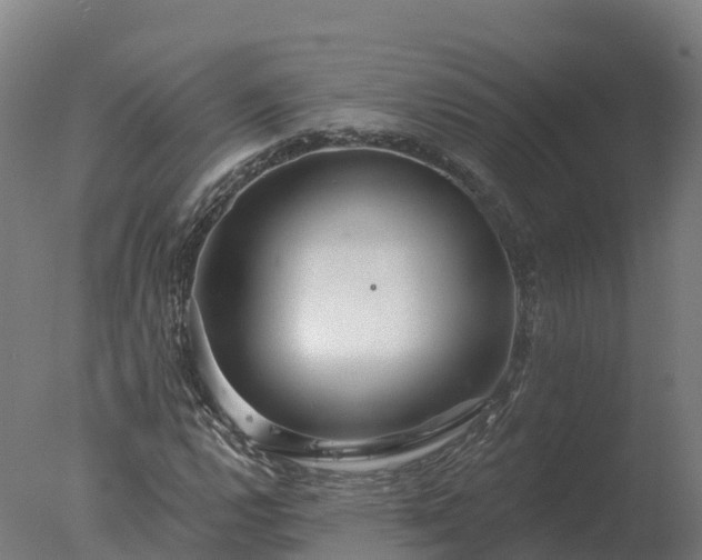X0000077311112200610271636