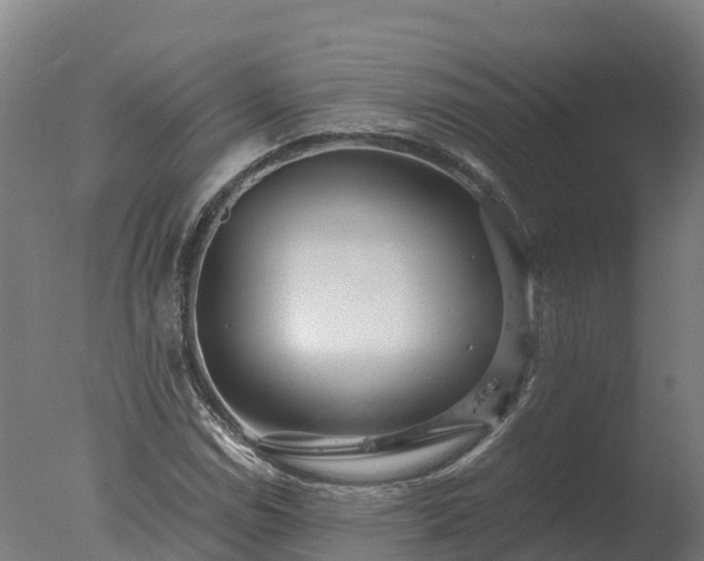 X0000077311114200610271636