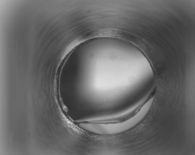 X0000077311147200610271637