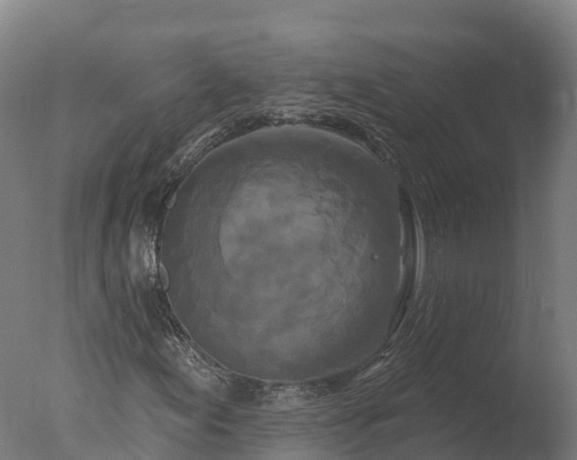 X0000077311155200610271636