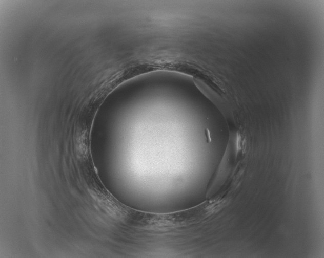 X0000077311156200610271636