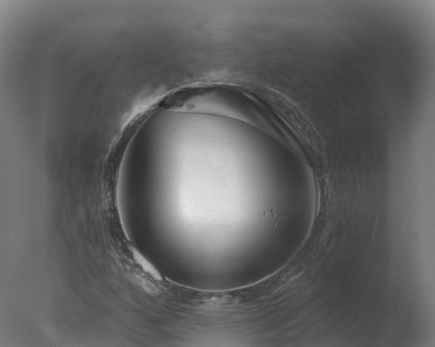 X0000077311160200610271636