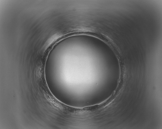 X0000077311163200610271636
