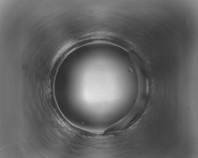 X0000077311164200610271636