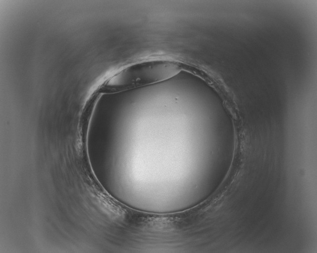 X0000077311167200610271636