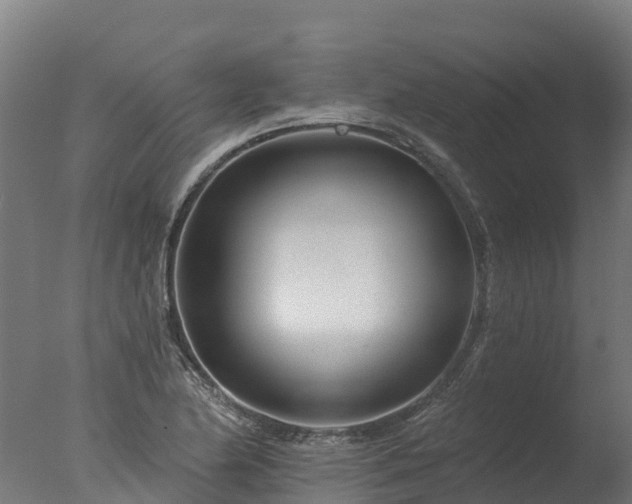 X0000077311174200610271636