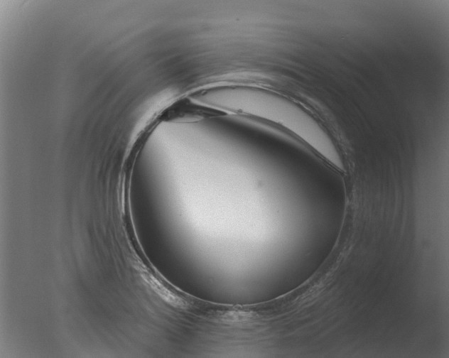 X0000077311180200610271636