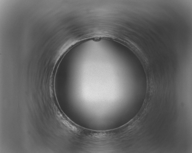 X0000077311182200610271636