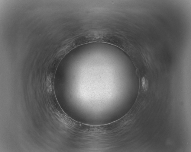 X0000077311203200610271635