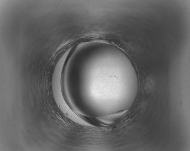 X0000077311206200610271635