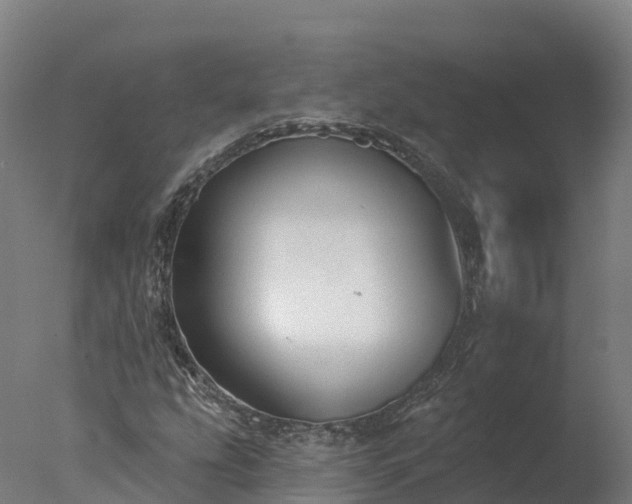 X0000077311207200610271635