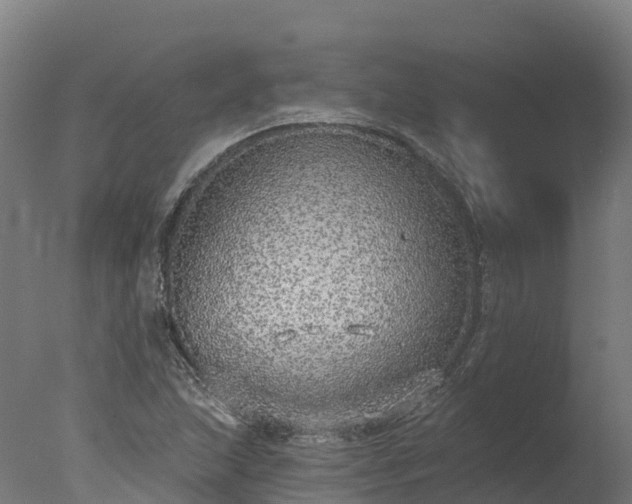 X0000077311215200610271635
