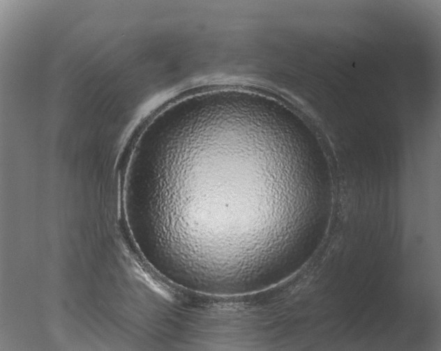X0000077311223200610271635