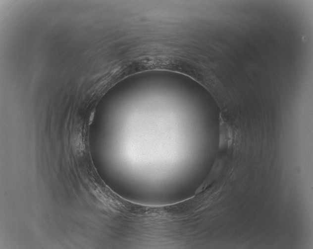 X0000077311250200610271634