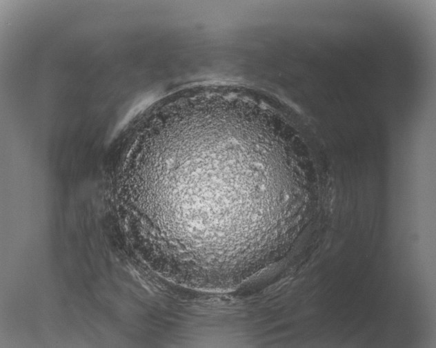 X0000077311255200610271634