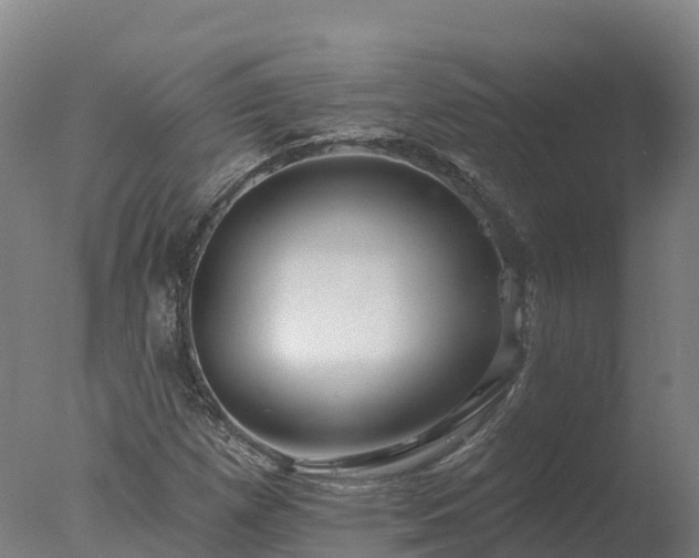 X0000077311257200610271634
