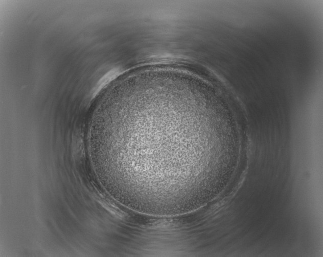 X0000077311259200610271634