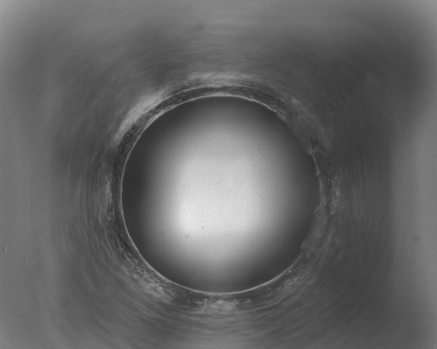 X0000077311261200610271634
