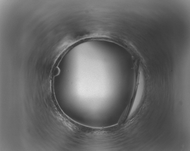 X0000077311268200610271634
