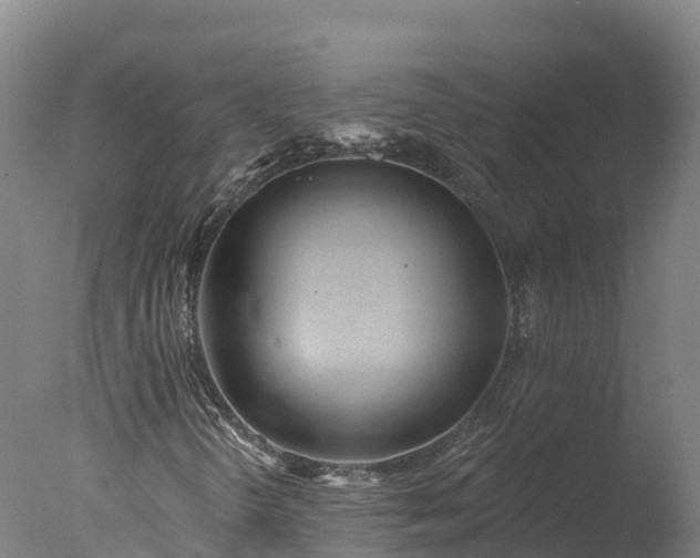X0000077311298200610271633