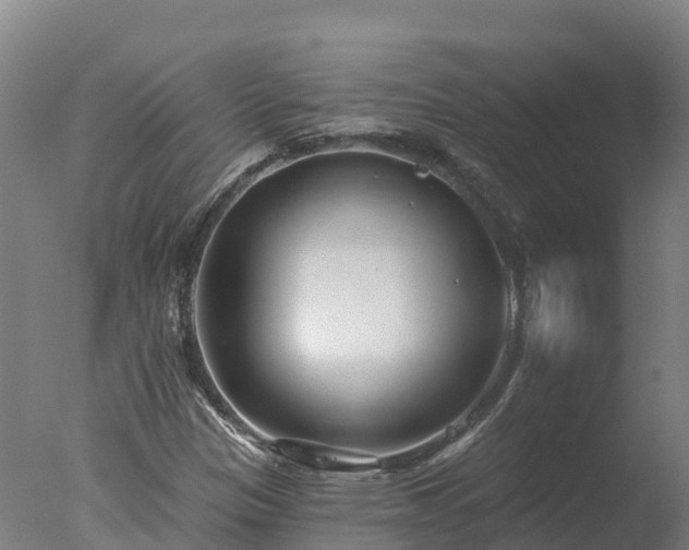 X0000077311305200610271633
