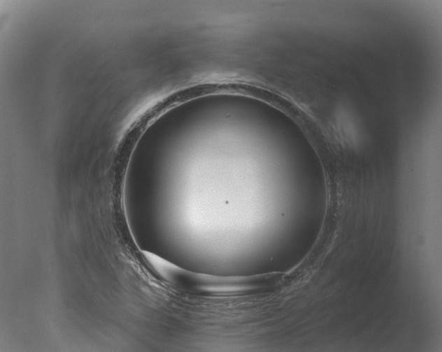 X0000077311311200610271633