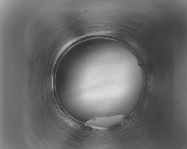X0000077311324200610271633