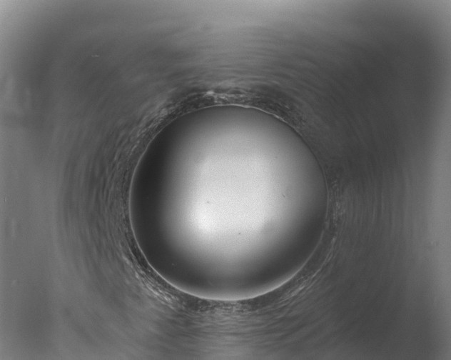 X0000077311345200610271633