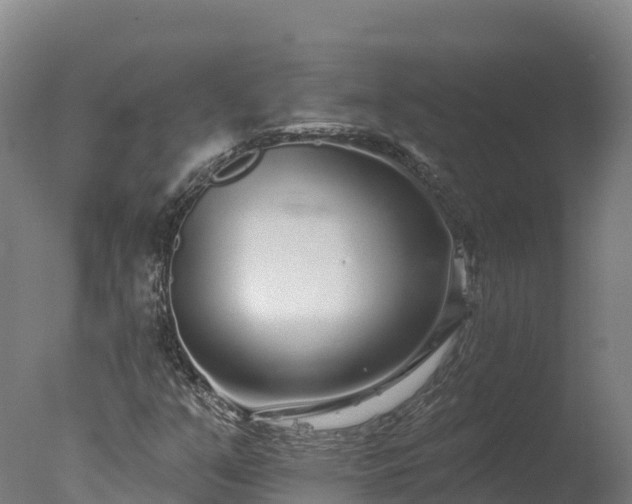 X0000077311351200610271633